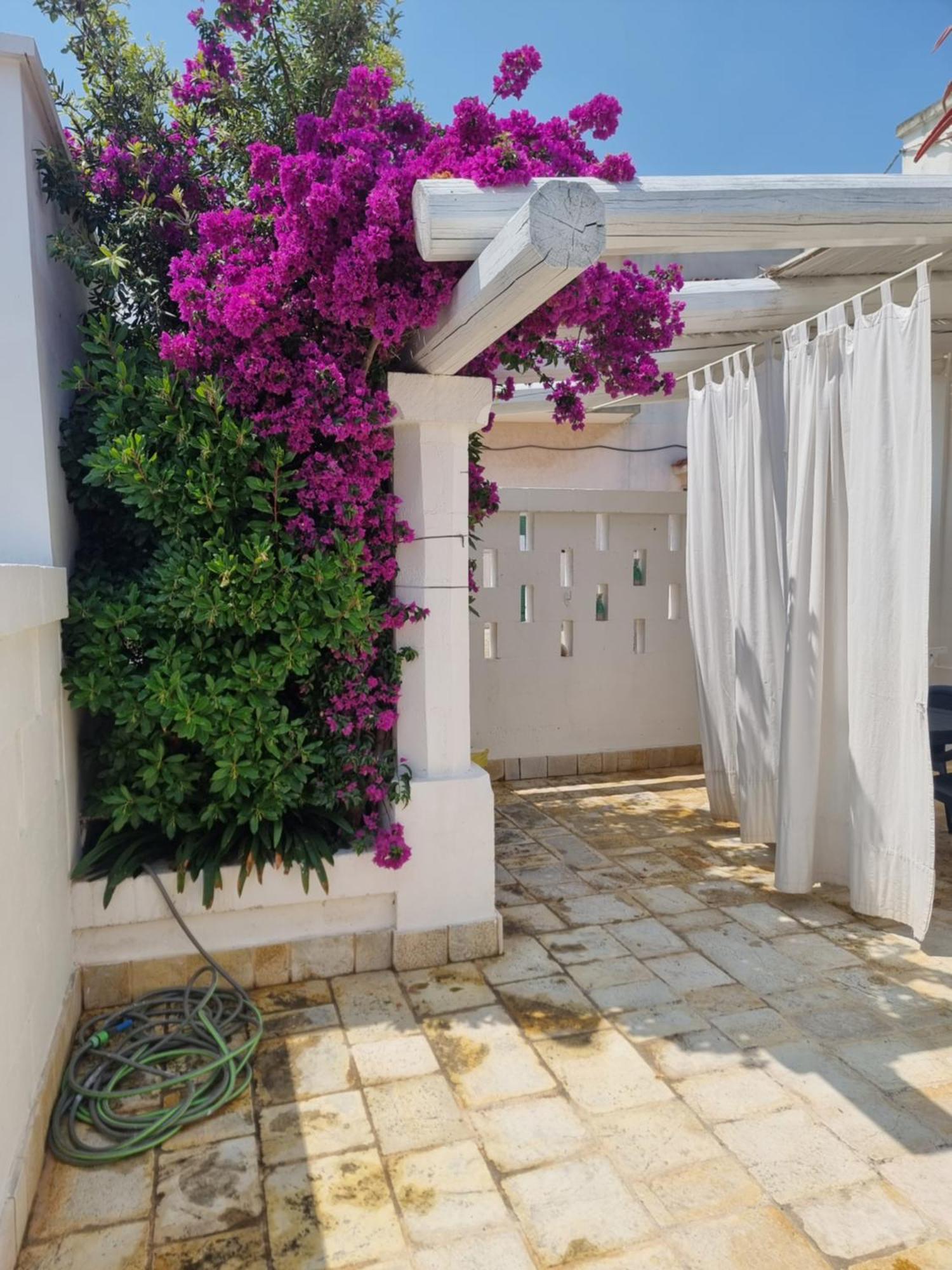 Villini Di Sant'Andreas Apartman Monopoli Kültér fotó